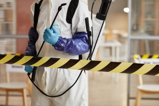 Professional Hoarding Cleanup technician working in Rockport, TX